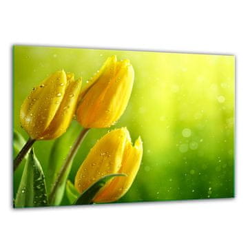 shumee Steklena sekalna ploa kaljena 30x22 tulipanov