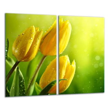 shumee Steklena rezalna ploa 2x 30x52 Tulip