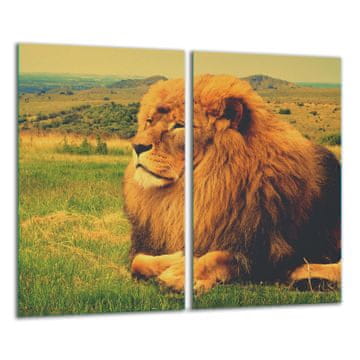 shumee Steklena sekalna ploa 2x 30x52 Lev