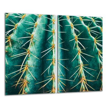 shumee Steklena ploa za rezanje 2x 30x52 Kaktus