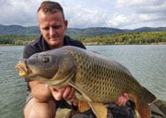 shumee Carp Food Oil Hookers - kroglice za trnek 18mm/120g Črni halibut