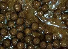 shumee Carp Food Mini Oil Hookers - kroglice za trnek 12 mm/50 g Jastog in rak