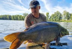 shumee Carp Food Mini Oil Hookers - kroglice za trnek 12 mm/50 g Jastog in rak