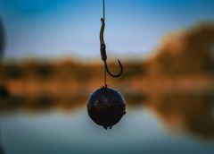 shumee Carp Food Mini Boosted Hookers - kroglice za trnek 12 mm/50 g Total Scopex
