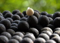 shumee Beljakovinska hrana Kulki SuperFeed Pure 18 mm/1 kg Halibut & Jagoda