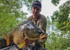 shumee Beljakovinska hrana Kulki SuperFeed Pure 18 mm/1 kg živih citrusov