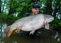 shumee Beljakovinska hrana Kulki SuperFeed Pure 18 mm/1 kg Lignji in čili