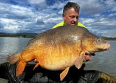 shumee Beljakovinska hrana SuperFeed Pure 18 mm/1 kg Pure Atrtic Kirll