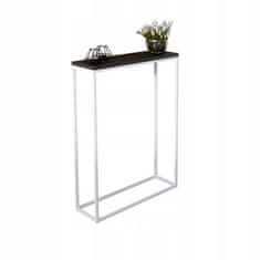 shumee Konzolna dvorana 60x20 iz profilov 15x15, bela mat črna