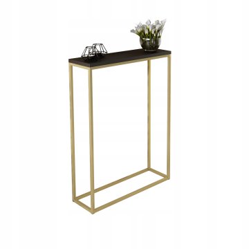 shumee Konzolna dvorana 60x20 iz profilov 15x15 Gold Black