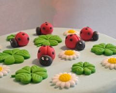 shumee Komplet tort Pikapolonice, 5 kosov + detelja + rože