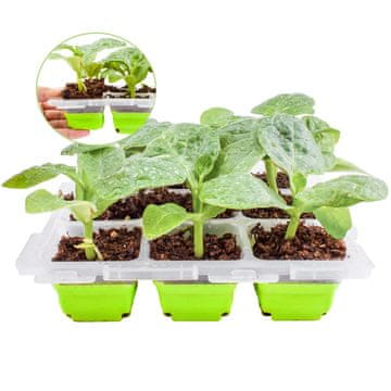 Nikcorp Pladenj za sejanje z 9 celicami in pokrovom | Mini rastlinjak za sadike in kaljenje | 5,6x5,6x4,5 cm | Večkratna uporaba