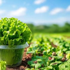 Nikcorp Komplet 12 ovratnikov in 12 mrež za zaščito rastlin pred polži, žuželkami in zmrzaljo | Zaščita za vrt in zelenjavo