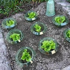 Nikcorp Komplet 10 zaščit proti polžem 24 cm | Ekološka ograja za vrt | Ovratnik in obroč za zaščito rastlin pred škodljivci