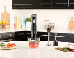 Russell Hobbs Desire Matte Charcoal večnamenski 3v1 palični mešalnik/sekljalnik 27141-56