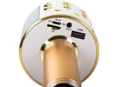 Verkgroup Karaoke zlati mikrofon zvočnik