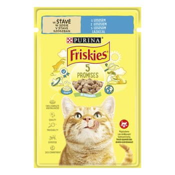 shumee Friskies v lososovi omaki 85 g
