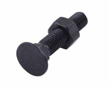 shumee Celoten plužni vijak s podporo D 608 M10x55 mm razred 10.9 Waryński (naprodaj v kompletih po 25)