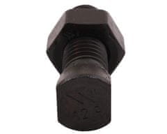 shumee Celoten vijak za plug, ovalen, obojestransko zarezan, M14x48 mm, razred 12.9, za Vogel & Noot Waryński M14X48OV2VN (naprodaj v kompletih po 25)