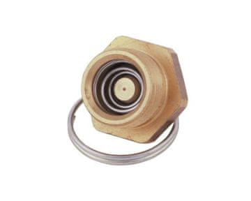 shumee Izpustni ventil rezervoarja za zrak 1/2 BSP 1664505MP (naprodaj v paketih po 5) POLMO