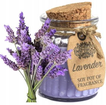 shumee Svež vonj sojine sivke