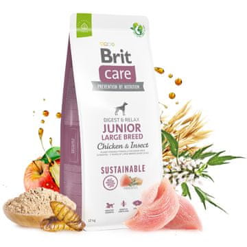 shumee Brit Care Dog Sustainable Large Chicken Insect 12 kg