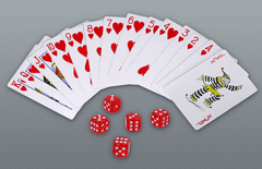 shumee Eleganten darilni komplet: bencinski vžigalnik in dodatki za igre