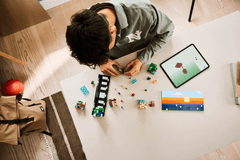 LEGO Minecraft 21589 Mini biomi