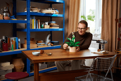 LEGO Botanicals 11504 Spatifil (Peace Lily)