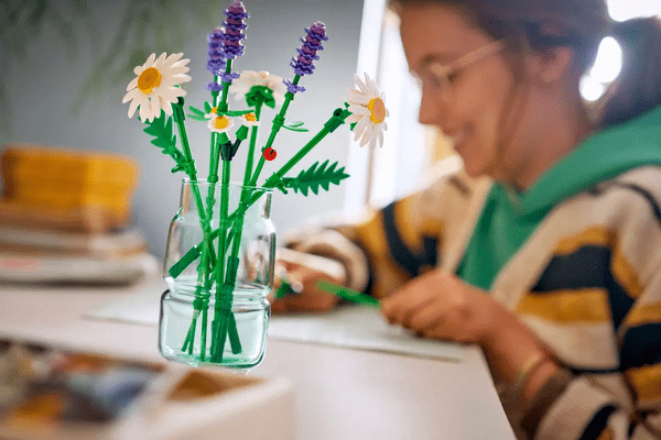 Detajli marjetic in sivke s pikapolonico