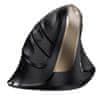 Genius Ergo 8250S Wireless Champagne Gold (31030031400) ergonomska brezžična miška