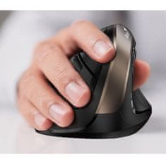 Genius Ergo 8250S Wireless Champagne Gold (31030031400) ergonomska brezžična miška