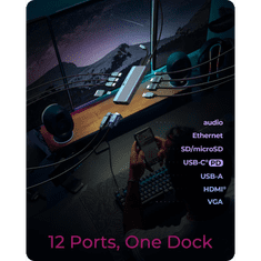 IcyBox IB-DK4062-CPD 12-v-1 DockingStation priklopna postaja s trojnim video priključkom