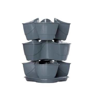 Prosperplast Set peteršilja COUBI HERBAL, 295 mm, grafit