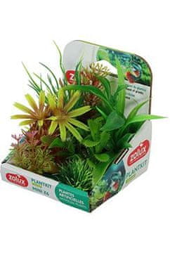 Akvarijske rastline PLANTKIT 2 set MINI 6pcs Zolux