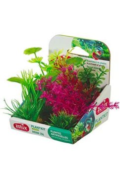 Akvarijske rastline PLANTKIT 4 set MINI 6pcs Zolux