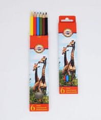 Koh-i-Noor Komplet barvic 6 kosov