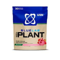 USN 100% rastlinske beljakovine 900 g jagoda