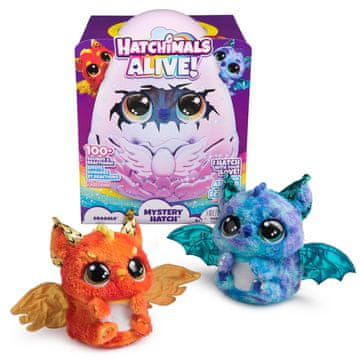 Hatchimals Hatching Interaktivna žival Zmajček