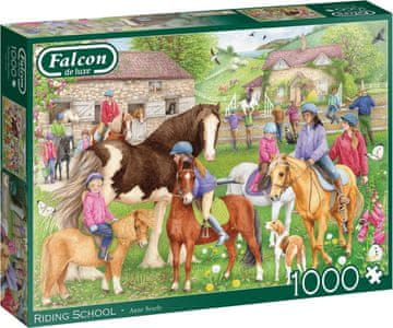 Jumbo FALCON Jahalna šola Puzzle 1000 kosov