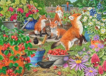 HOP Puzzle Fox Ladies 1000 kosov