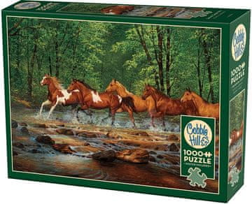 COBBLE HILL Puzzle Trot in Spring Creek 1000 kosov