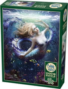 COBBLE HILL Puzzle Onde 1000 kosov