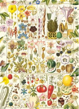 Gibsons Botanical Bliss Puzzle 1000 kosov