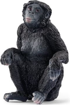 Schleich Wild Life 14875 Šimpanz Bonobo - samica