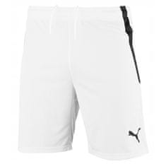 Puma Hlače obutev za trening bela 192 - 197 cm/XXL 70492404