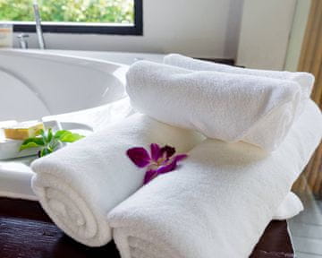 ELOTUS Hotelska brisača Plain 450g/m2, 50x90, pak. 12/1