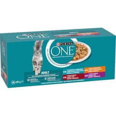 Purina ONE Purina ONE-Multipack Adult minifoods meso, ribe, zelenjava 40 x 85 g
