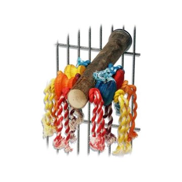Igrača za ptice barvna, perš Zabavni perš Quapas! 20x4x30cm
