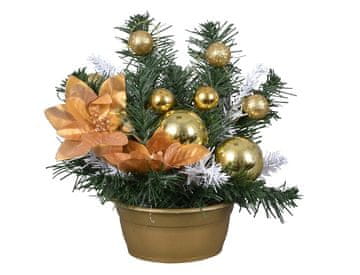 Cvetlična božična zvezda Božični aranžma v skledi 25cm